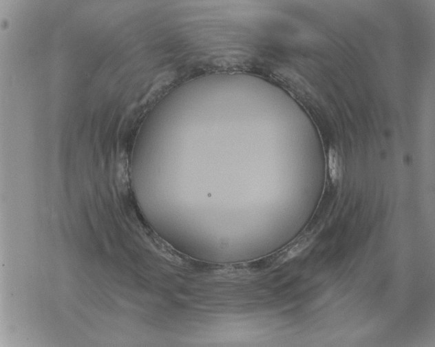 X0000076101107200610152336