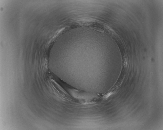 X0000076101108200610152336