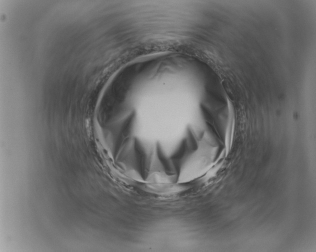 X0000076101109200610152336