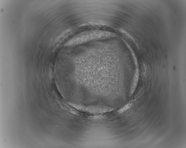 X0000076101110200610152336