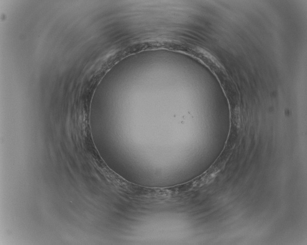 X0000076101111200610152336