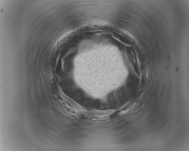 X0000076101112200610152336