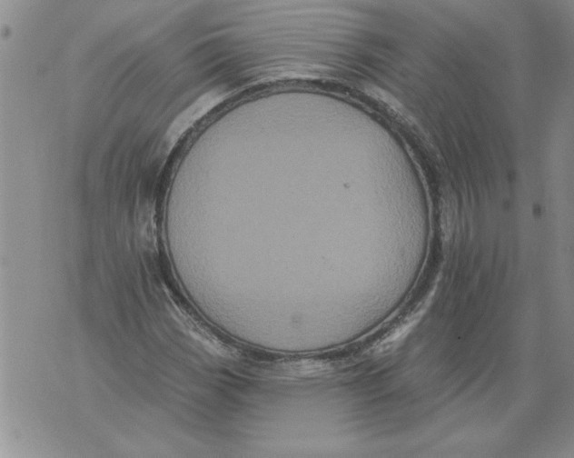 X0000076101113200610152336