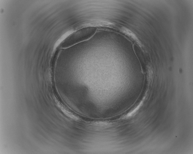 X0000076101114200610152336