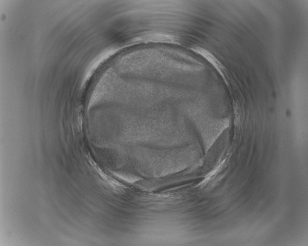 X0000076101115200610152336