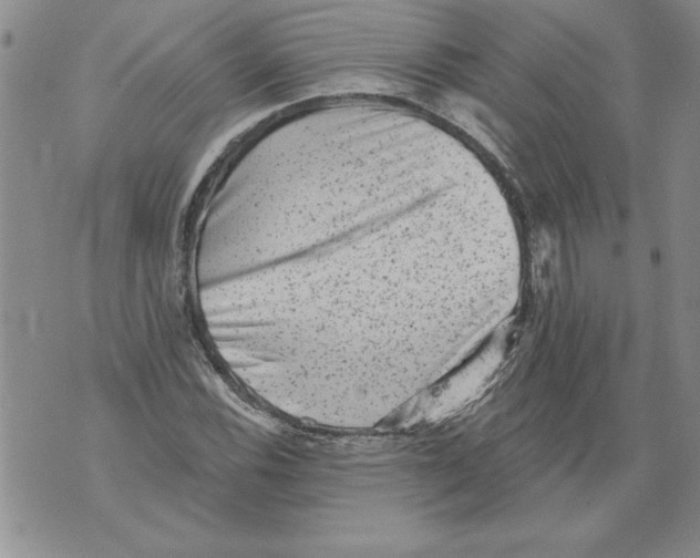 X0000076101116200610152336