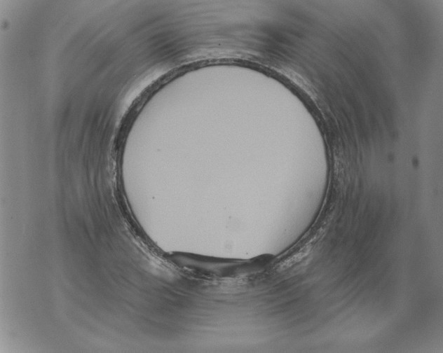 X0000076101119200610152336