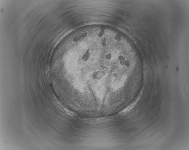 X0000076101121200610152336