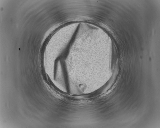 X0000076101122200610152336