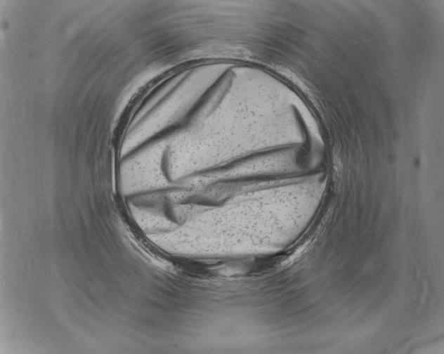 X0000076101123200610152336