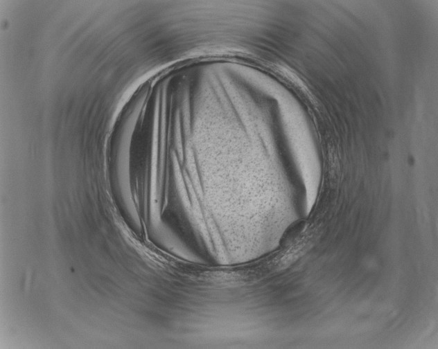 X0000076101124200610152336