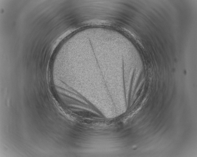 X0000076101125200610152336