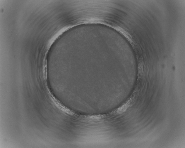 X0000076101126200610152336