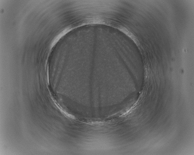 X0000076101127200610152336