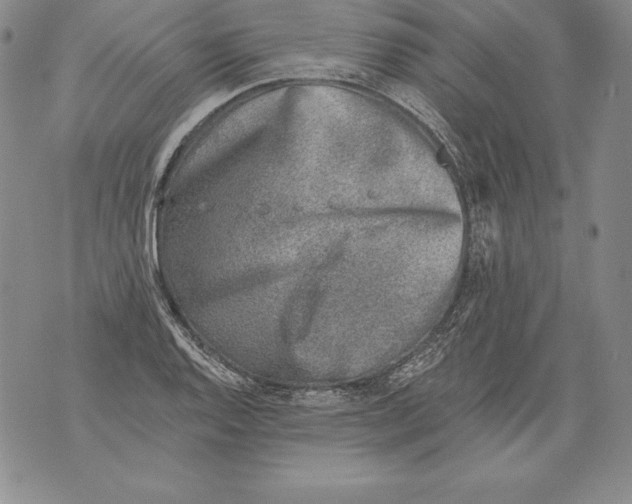 X0000076101128200610152337