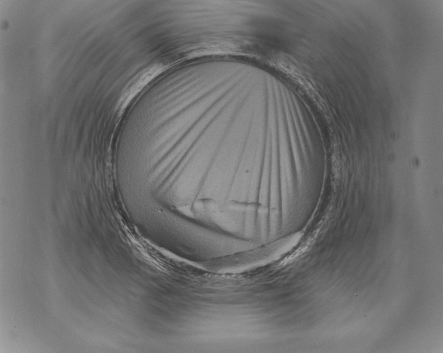 X0000076101129200610152337