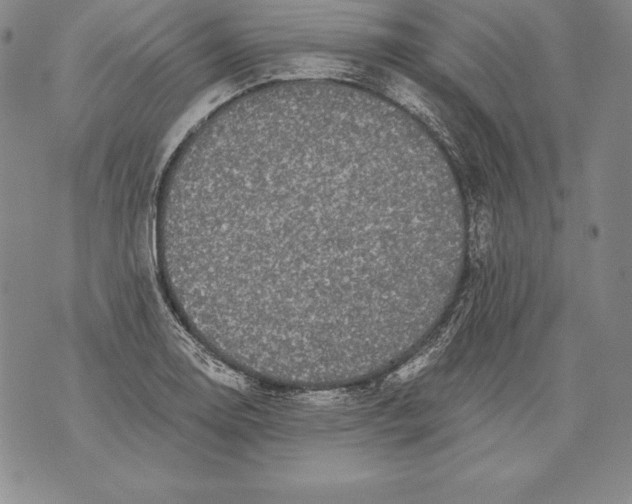 X0000076101130200610152337