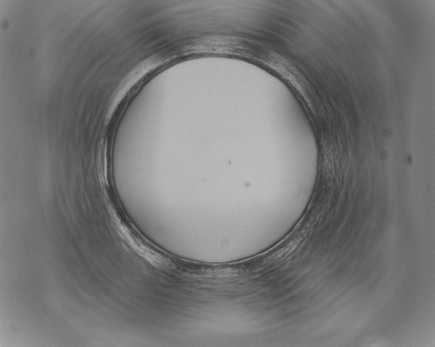 X0000076101131200610152337