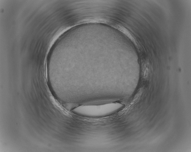 X0000076101132200610152337