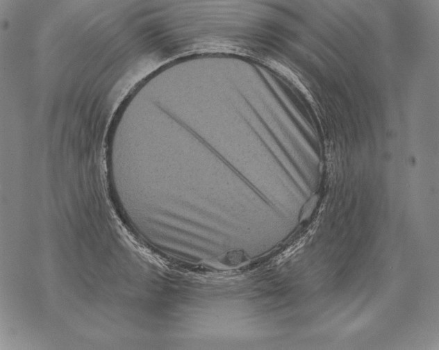 X0000076101133200610152337