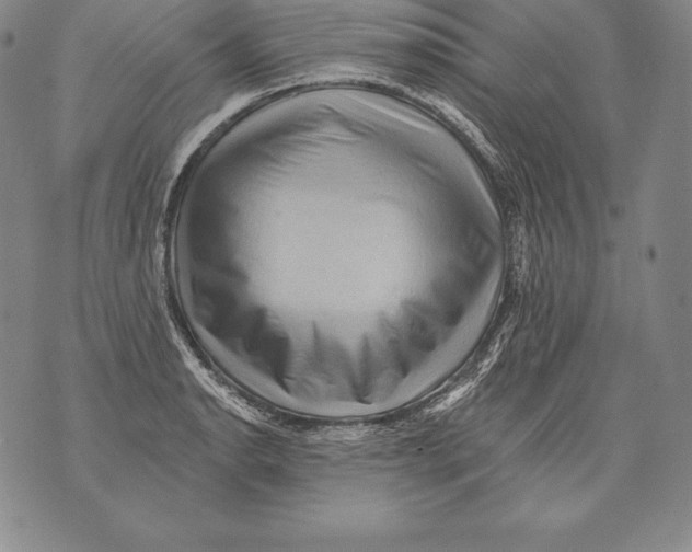 X0000076101134200610152337