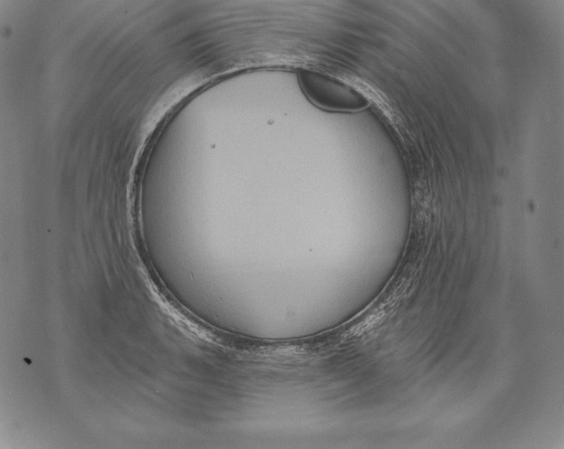 X0000076101135200610152337