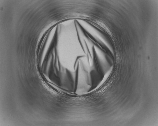 X0000076101136200610152337