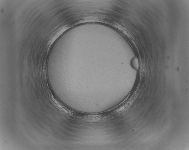 X0000076101137200610152337