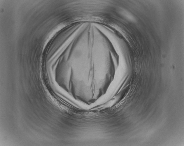 X0000076101139200610152337