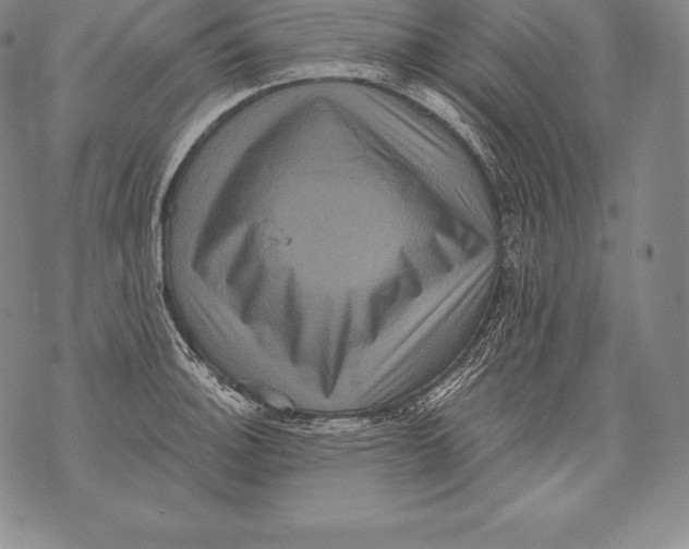 X0000076101140200610152337