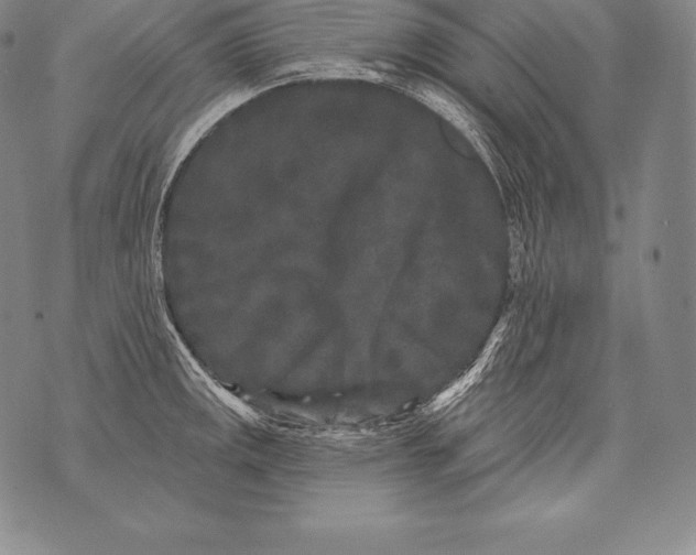 X0000076101141200610152337