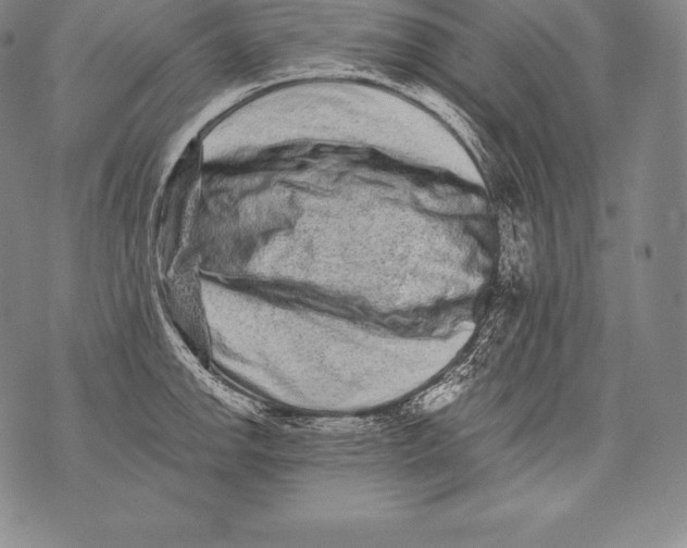 X0000076101142200610152337