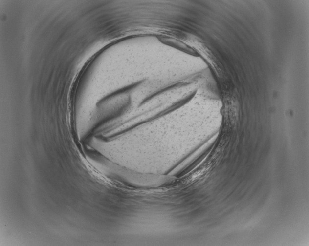 X0000076101143200610152337