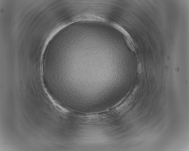 X0000076101144200610152337