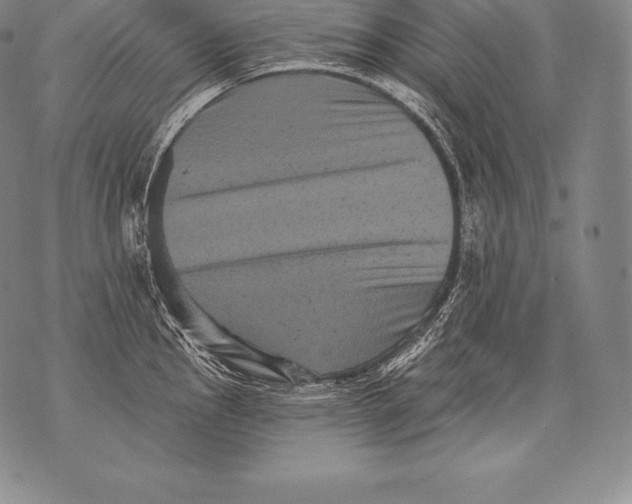 X0000076101145200610152337