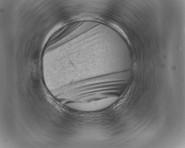 X0000076101146200610152337