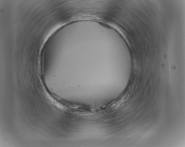 X0000076101147200610152337