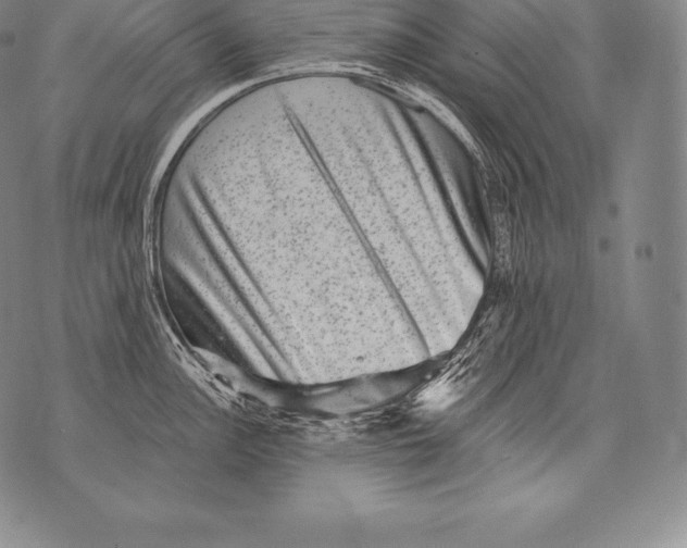 X0000076101148200610152337