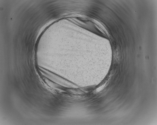 X0000076101149200610152337