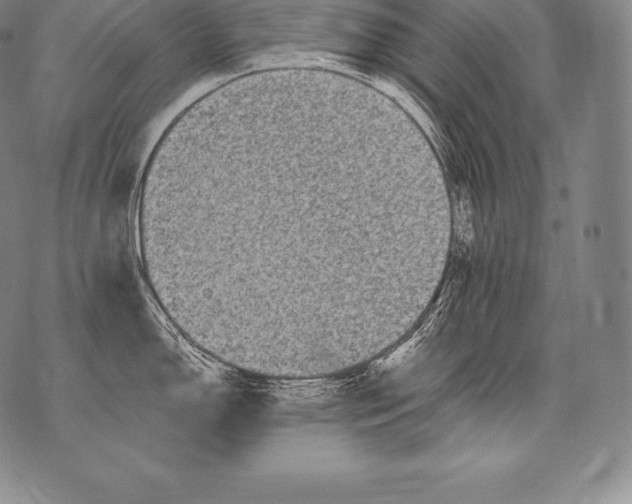 X0000076101150200610152337