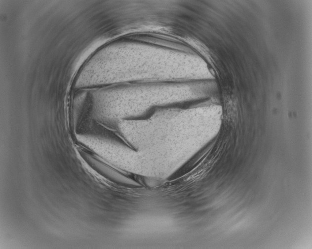 X0000076101151200610152337