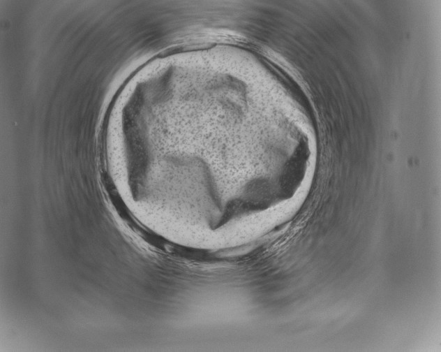 X0000076101152200610152337