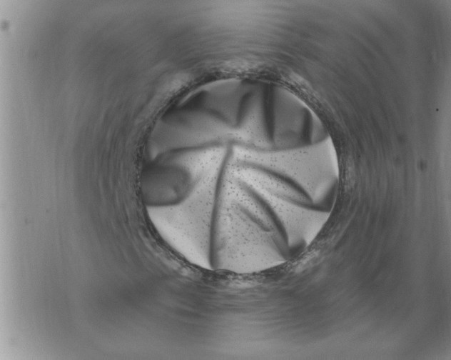 X0000076101153200610152336