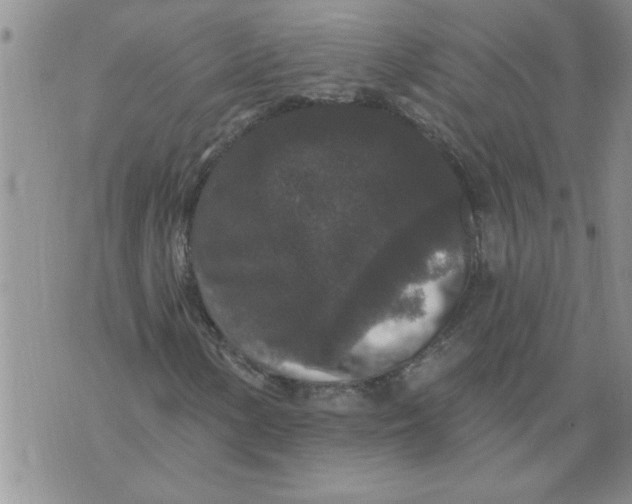 X0000076101154200610152336