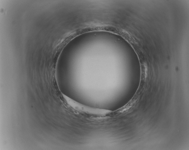 X0000076101157200610152336