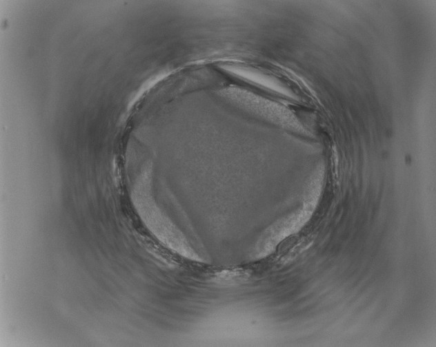 X0000076101160200610152336