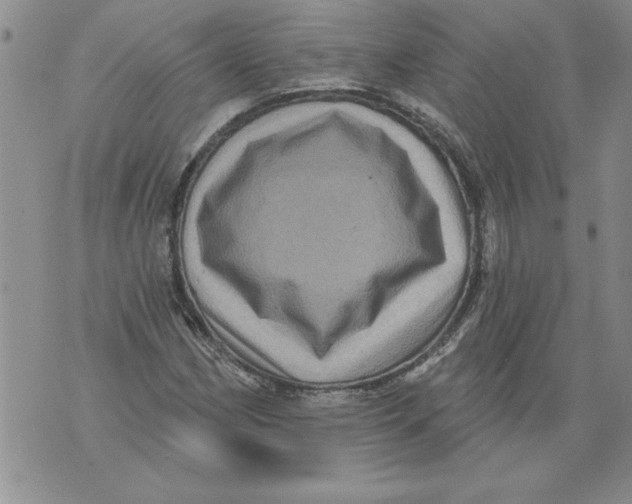 X0000076101162200610152336