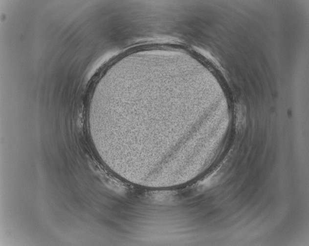 X0000076101163200610152336