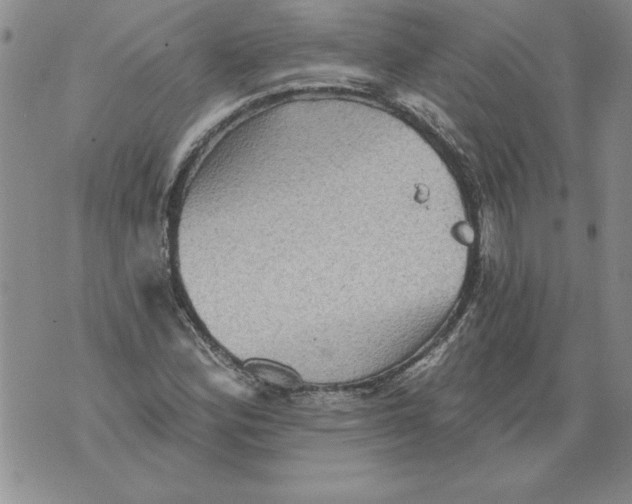 X0000076101164200610152336