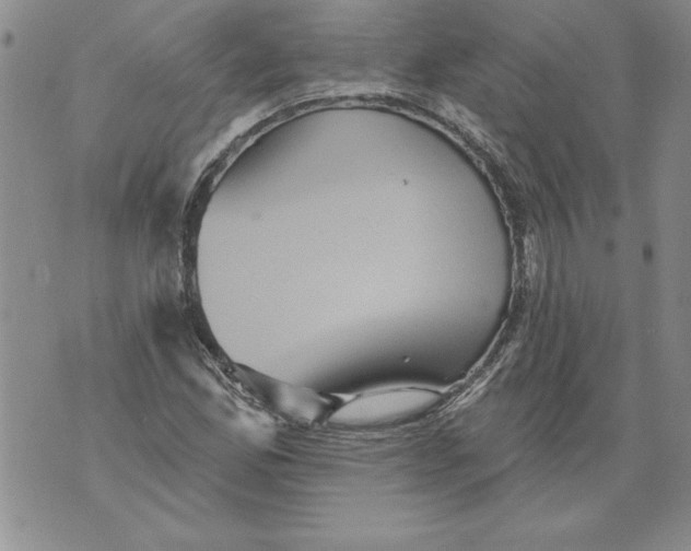 X0000076101165200610152336